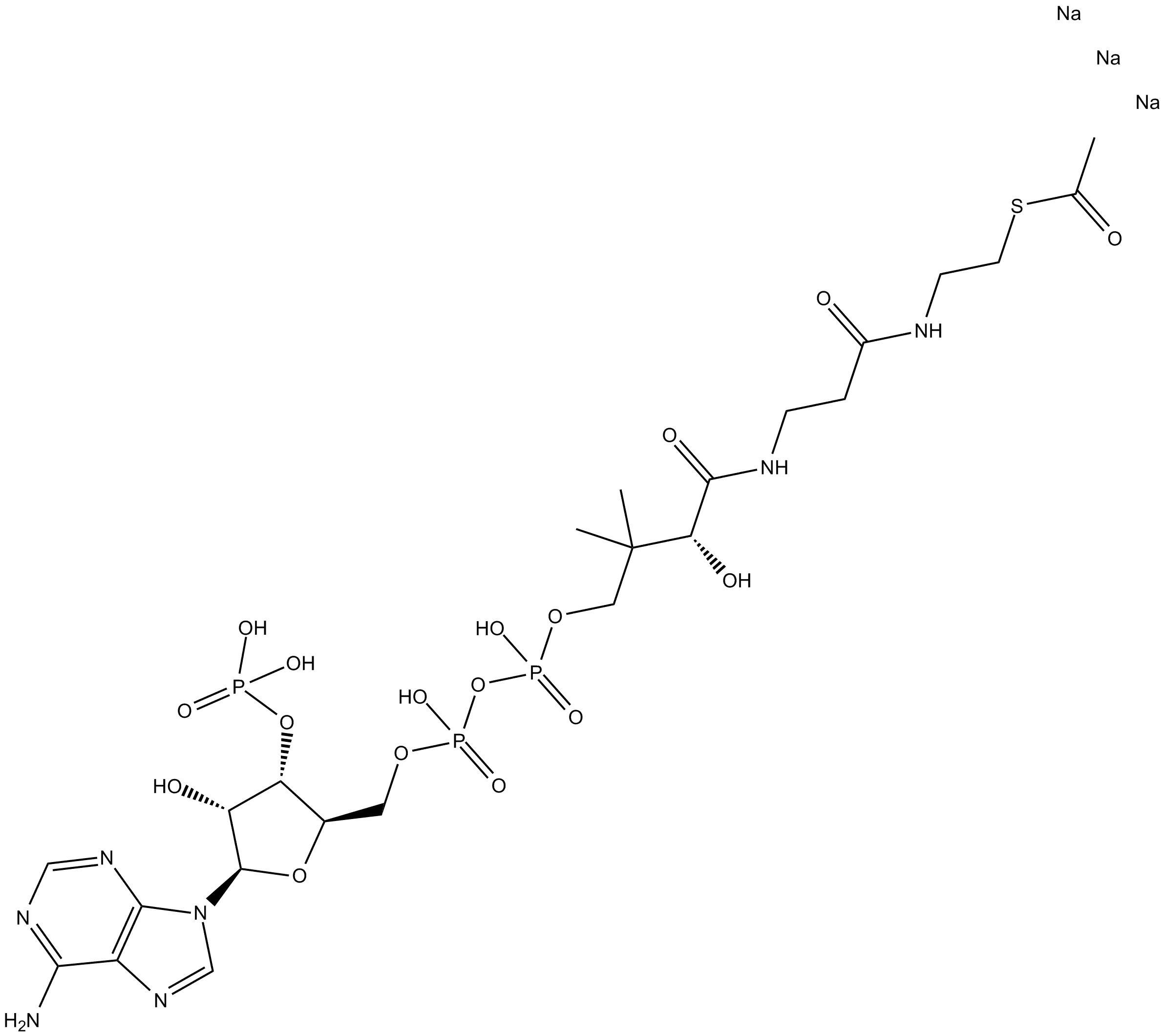 Acetyl Coenzyme A (sodium salt)