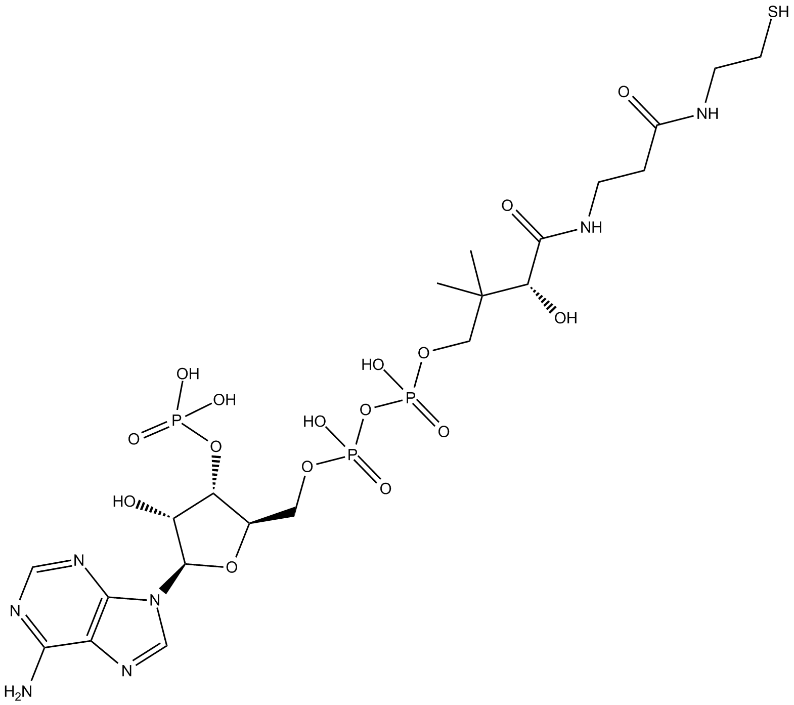 Coenzyme A