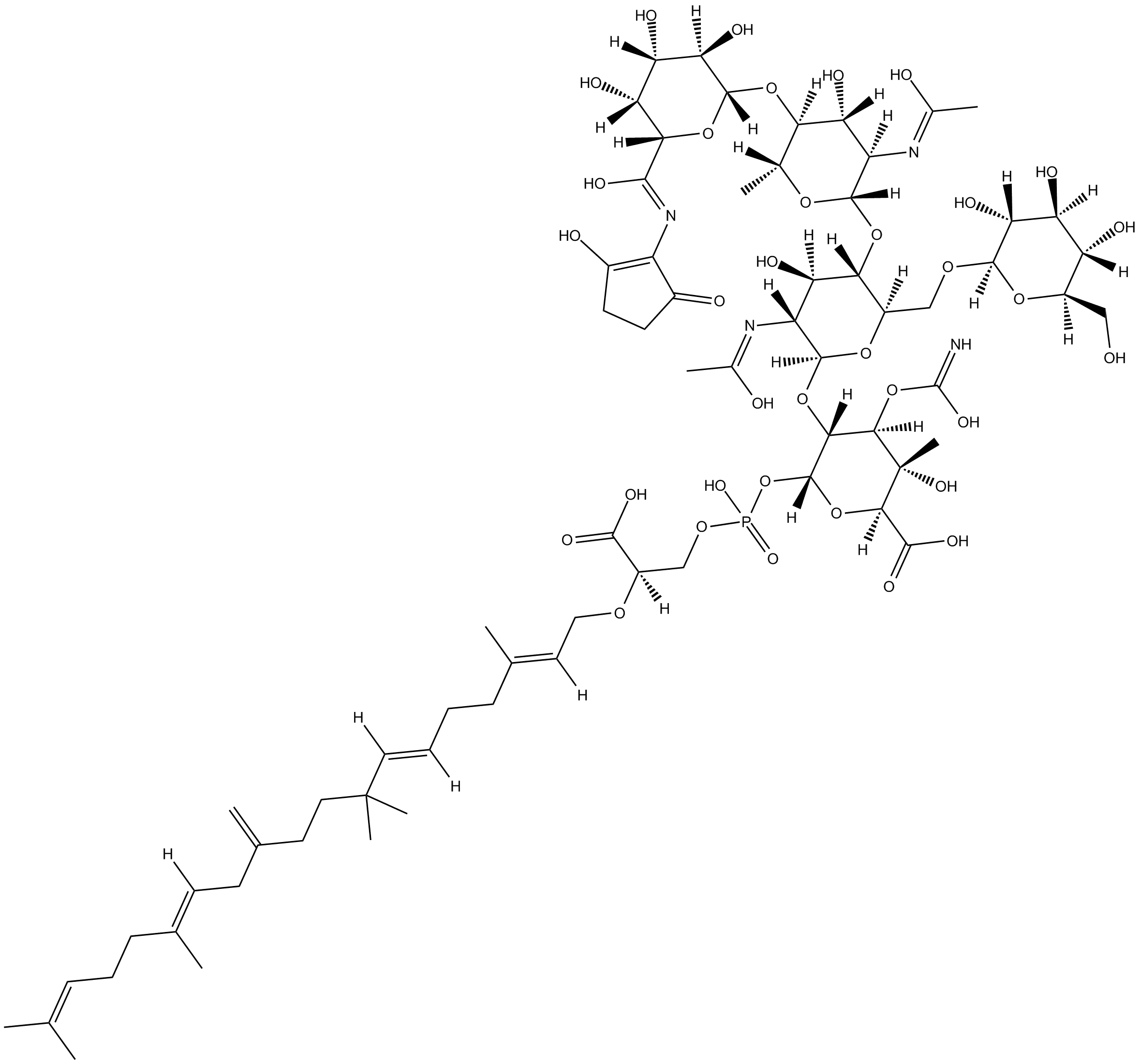 Moenomycin Complex