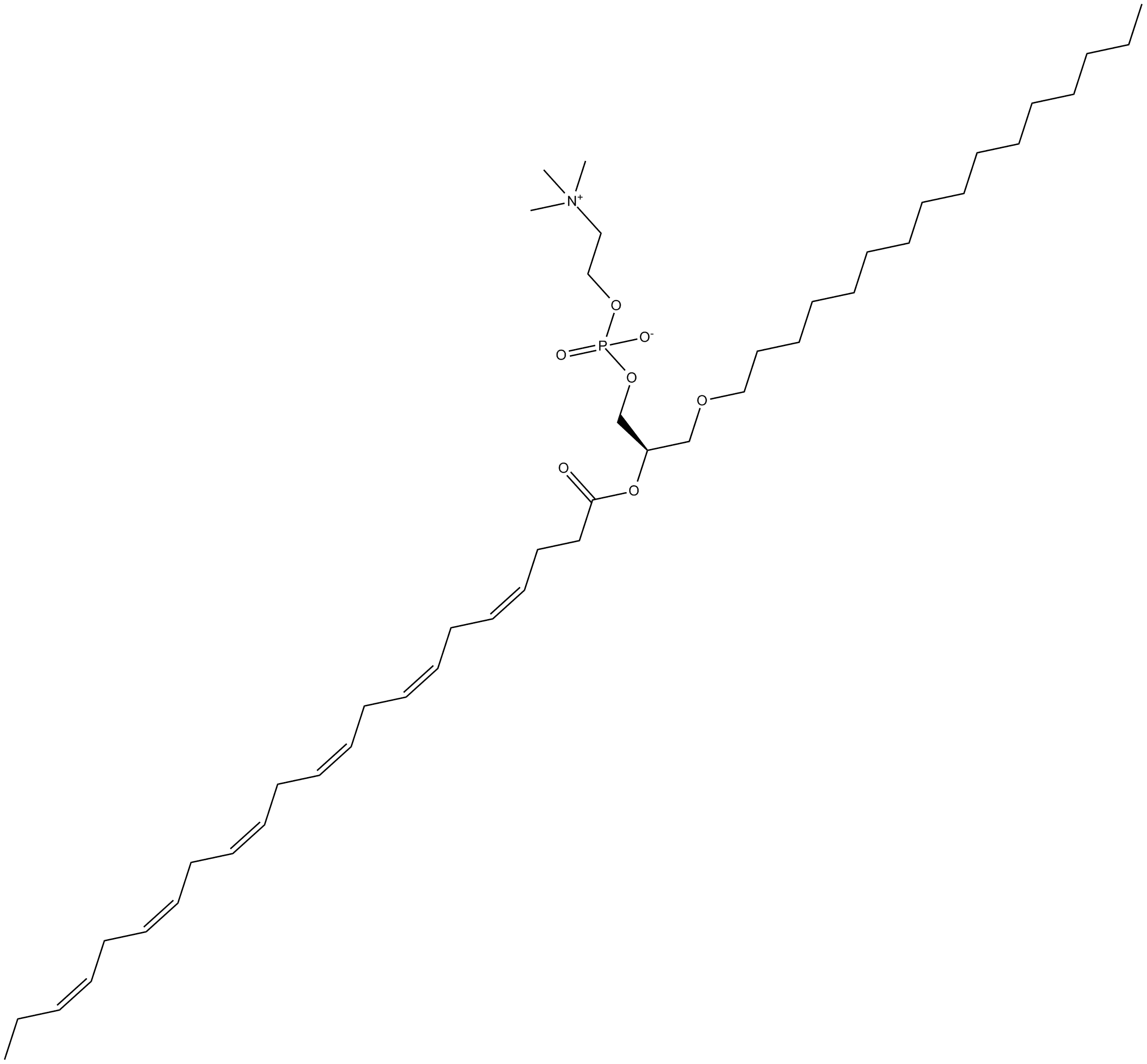Docosahexaenoyl PAF C-16
