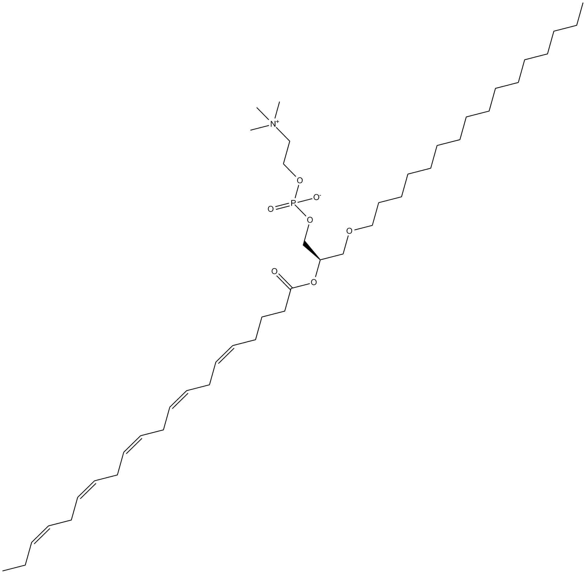 Eicosapentaenoyl PAF C-16