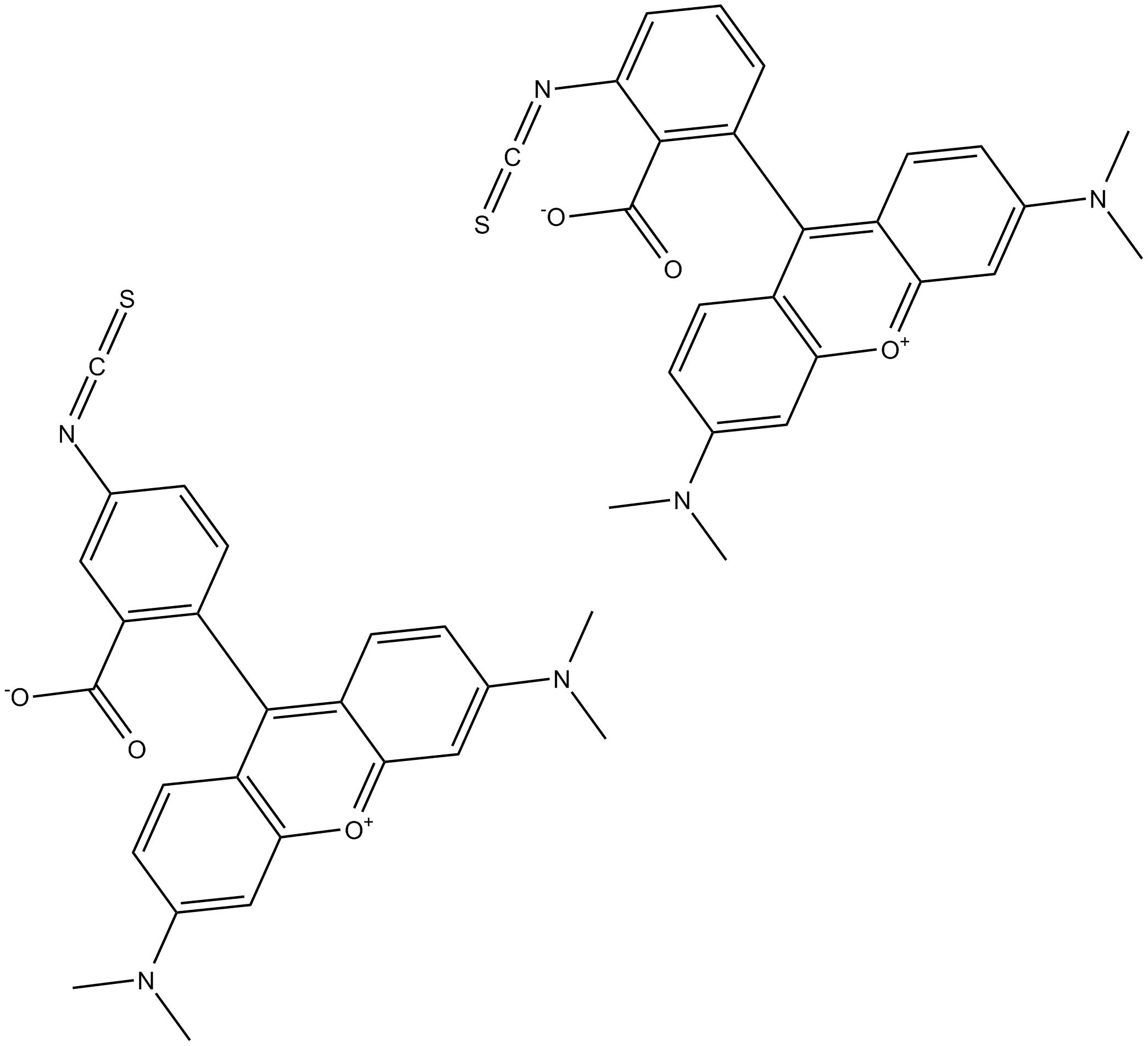 Tetramethylrhodamine isothiocyanate (mixed isomers)