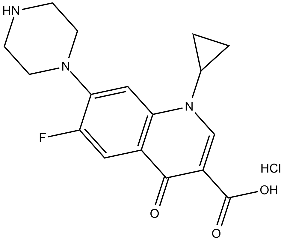 Ciprofloxacin (hydrochloride)