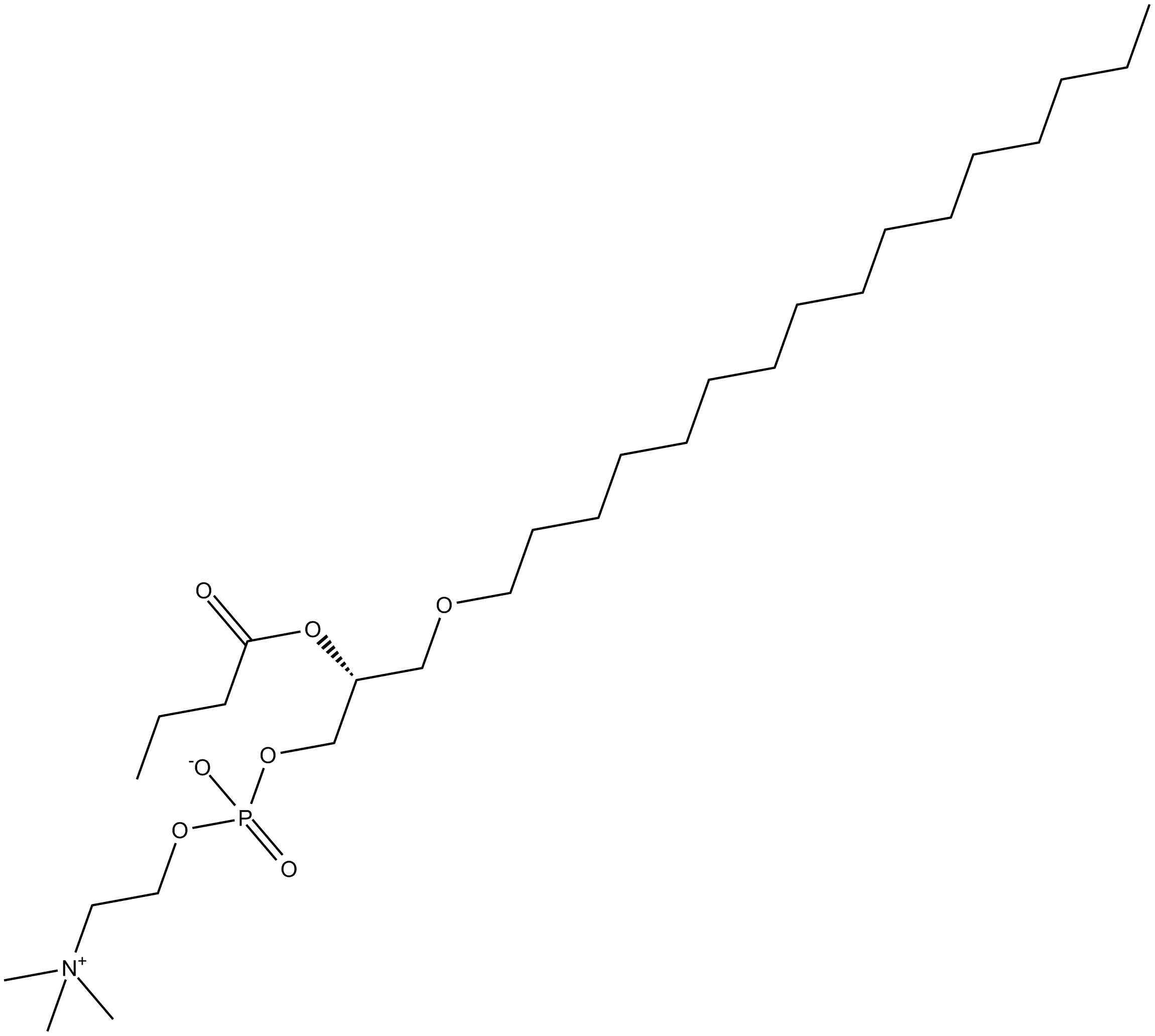 Butanoyl PAF