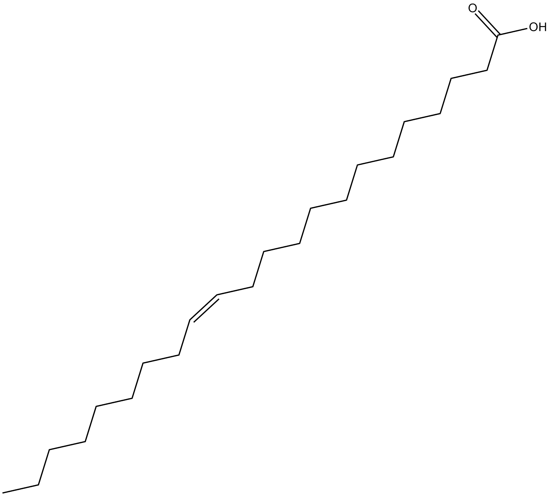 13(Z)-Docosenoic Acid