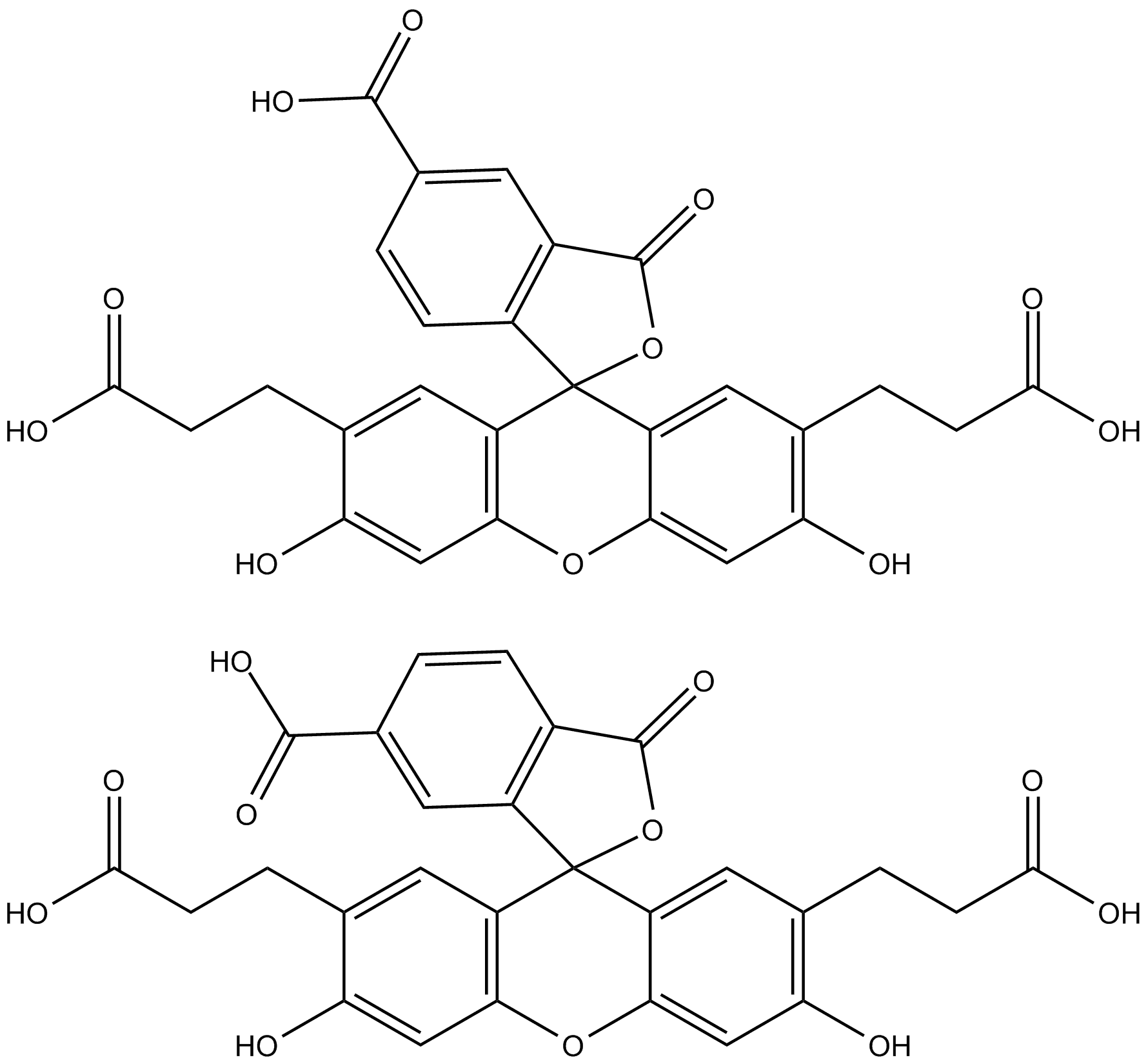 BCECF