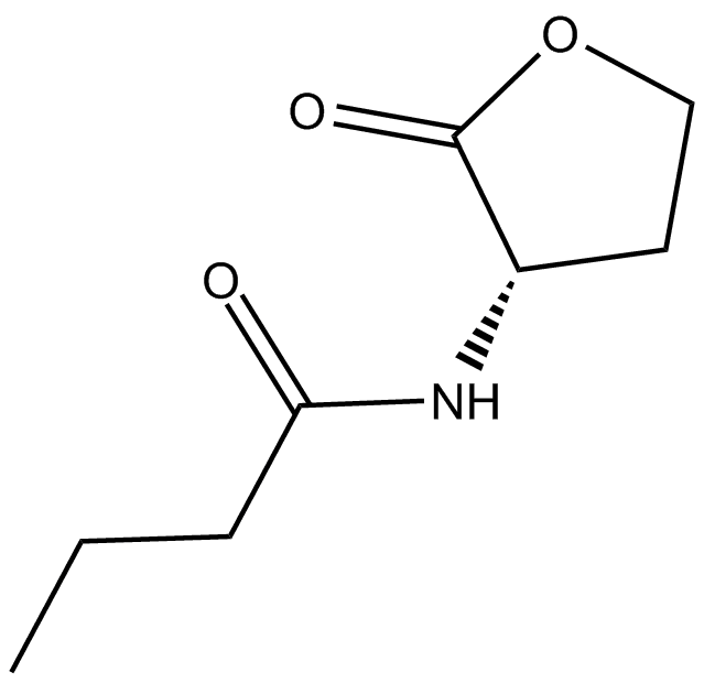 N-butyryl-L-Homoserine lactone