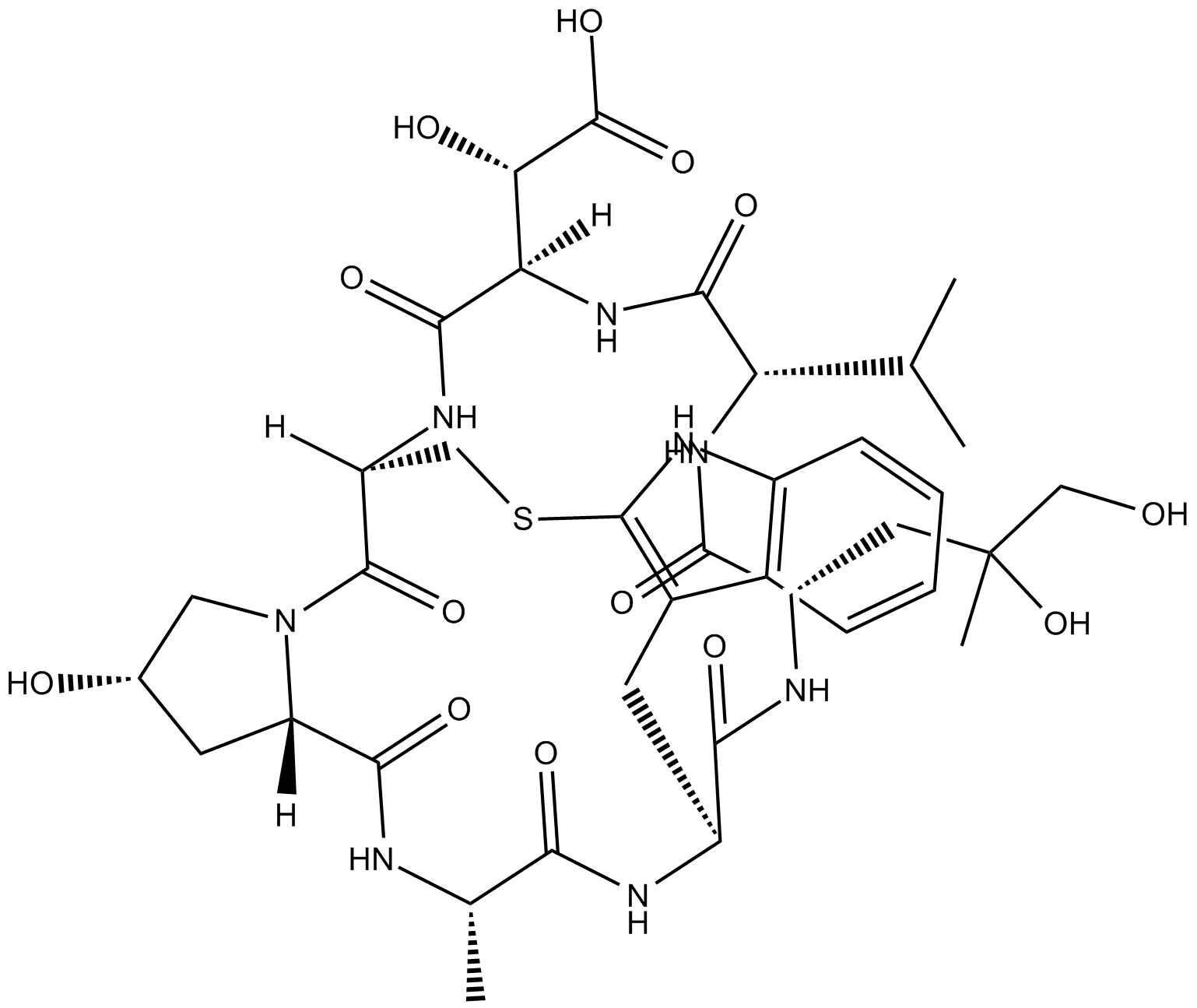Phallacidin