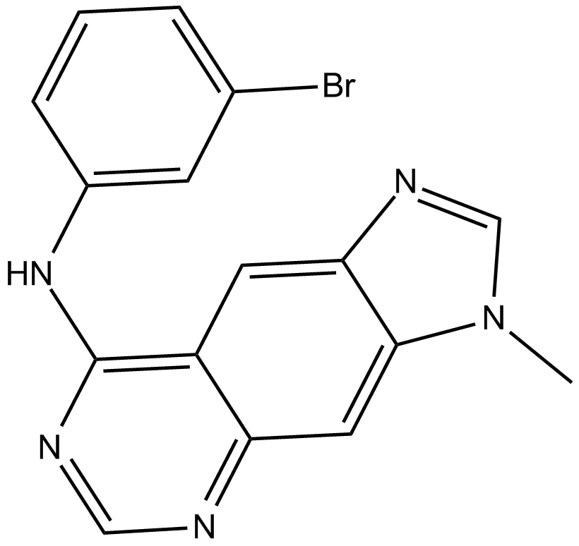 BPIQ-I