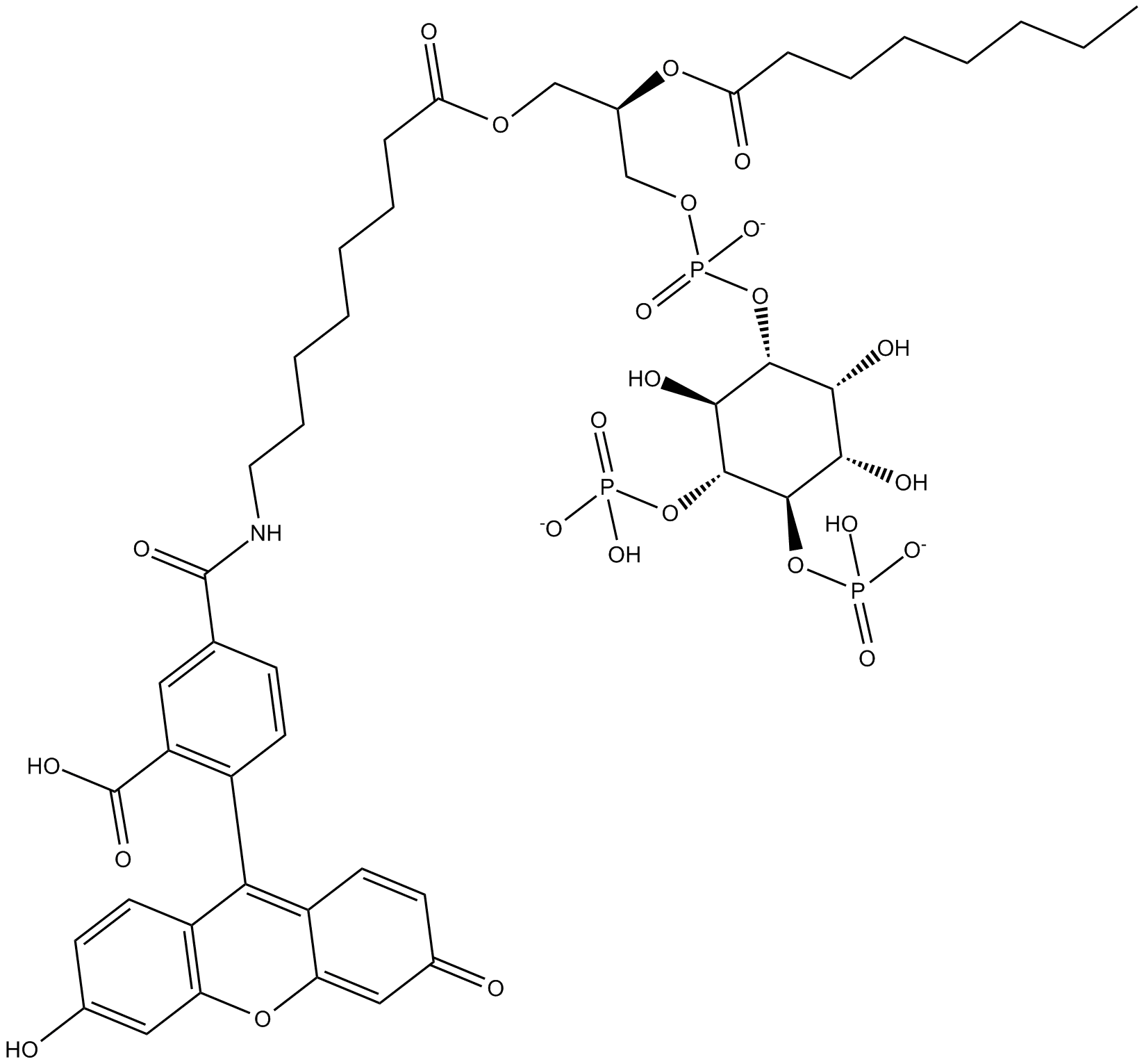 PtdIns-(4,5)-P2-fluorescein (ammonium salt)