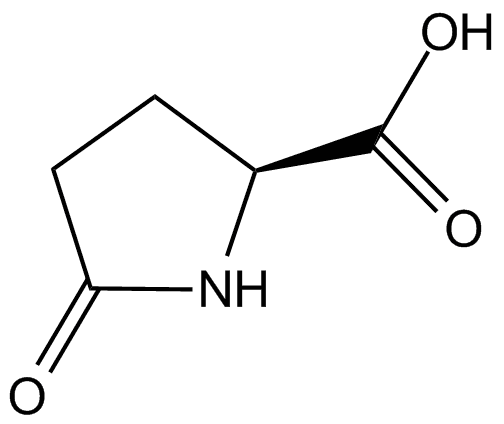 L-Pyroglutamic acid