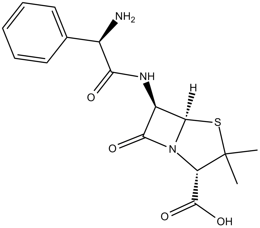 Ampicillin