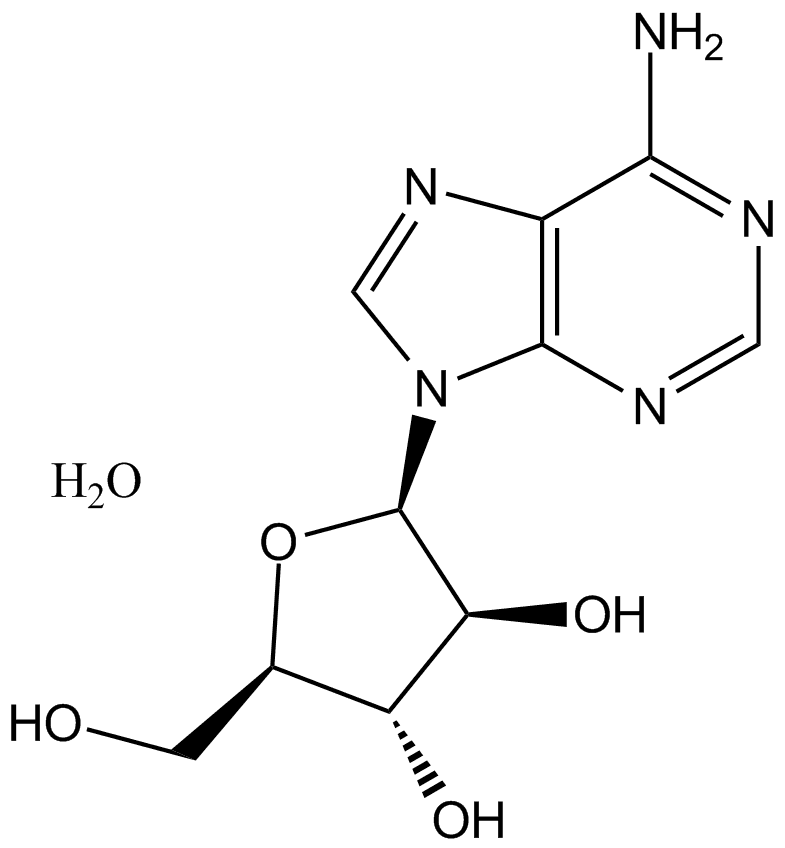 Vidarabine monohydrate