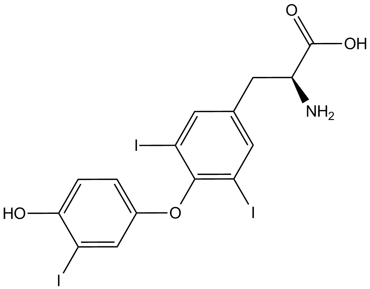 Triiodothyronine