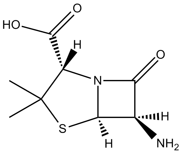6-Aminopenicillanic acid