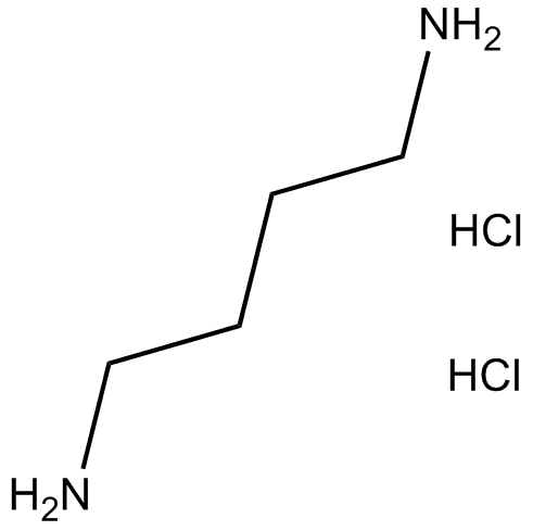 1,4-Diaminobutane dihydrochloride