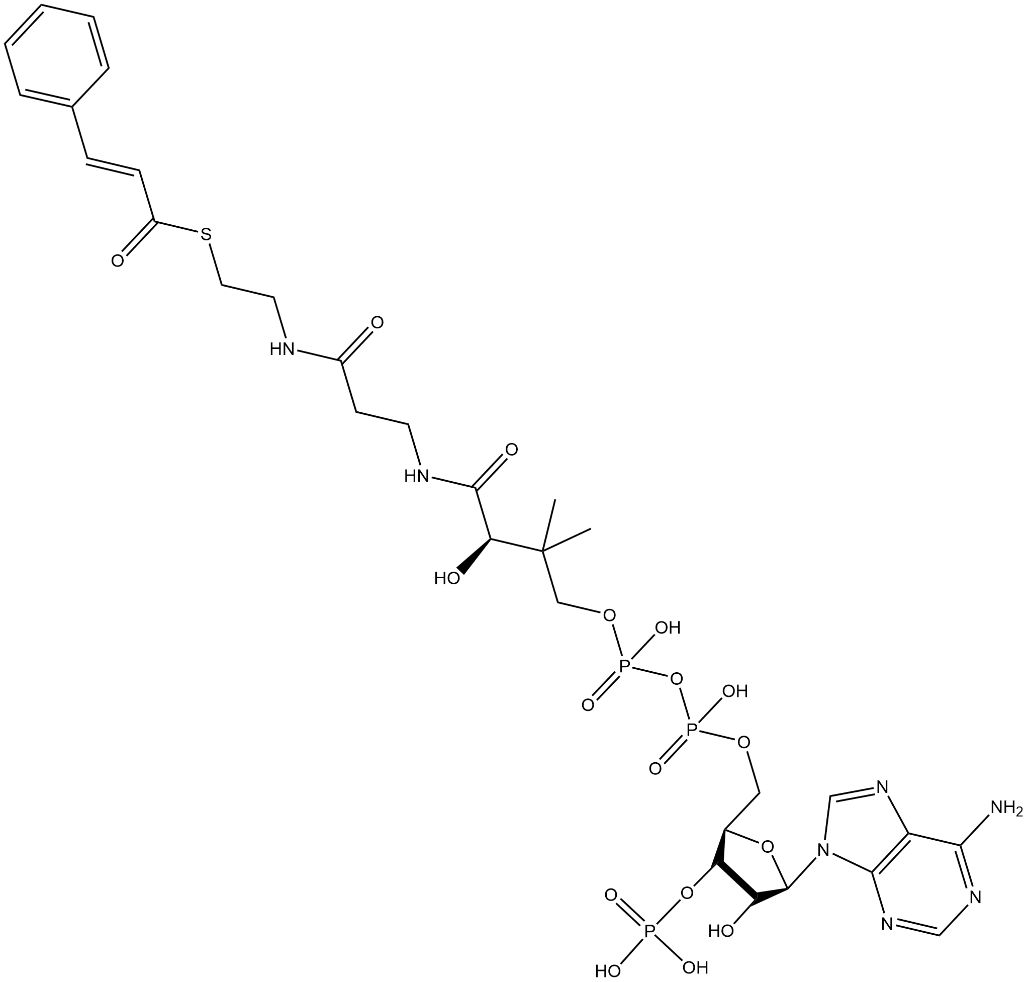 (E)-Cinnamoyl-coA