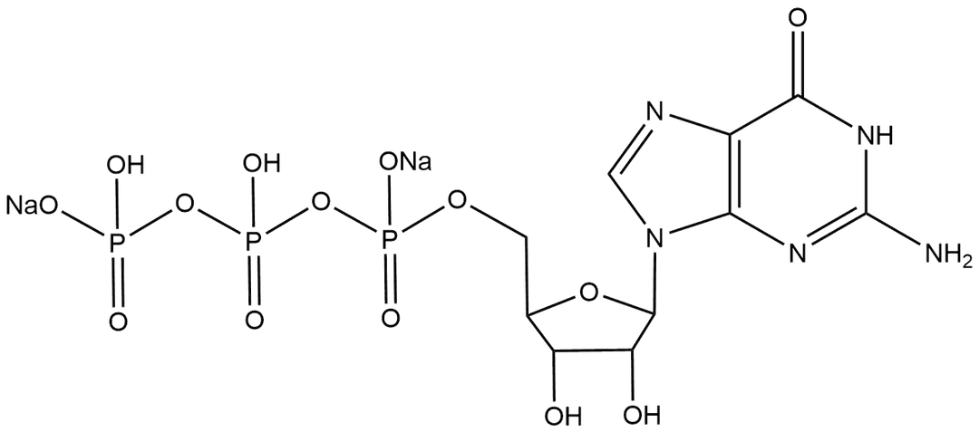 Guanosine-5'-triphosphate disodium salt
