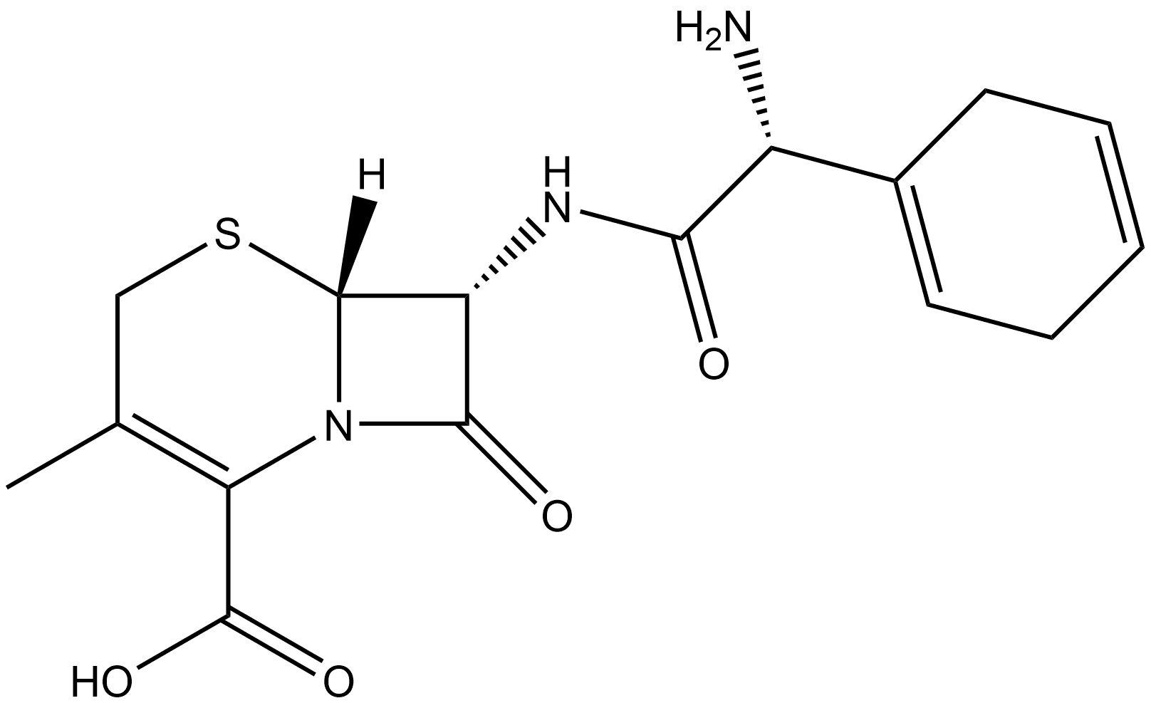 Cefradine