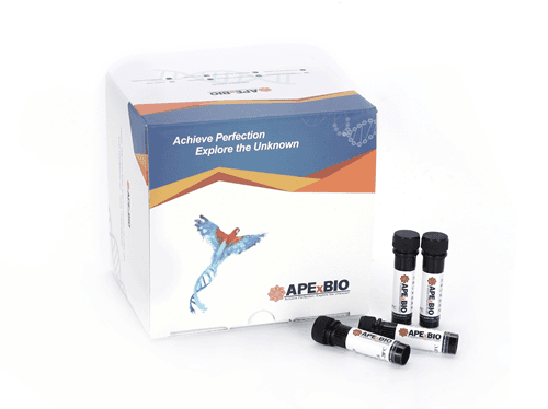 Human CD3/CD28 T Cell Activation Beads
