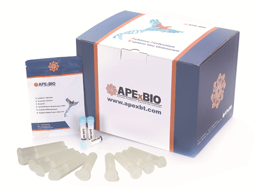 Sulfo-NHS-Biotin Kit