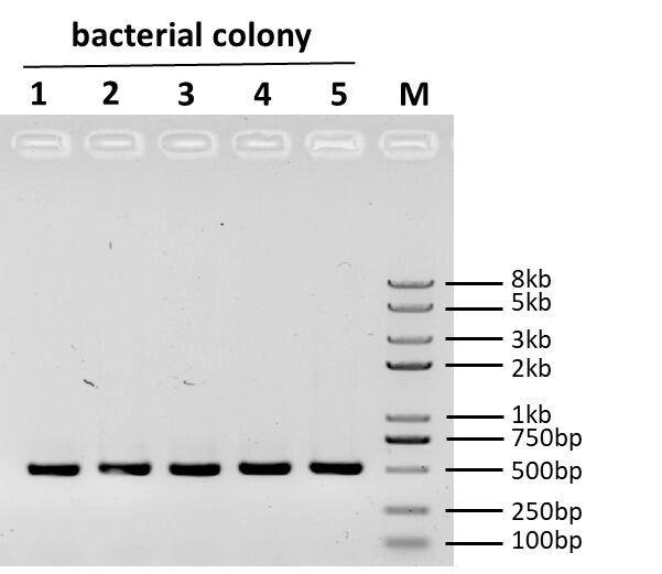 生物相关数据