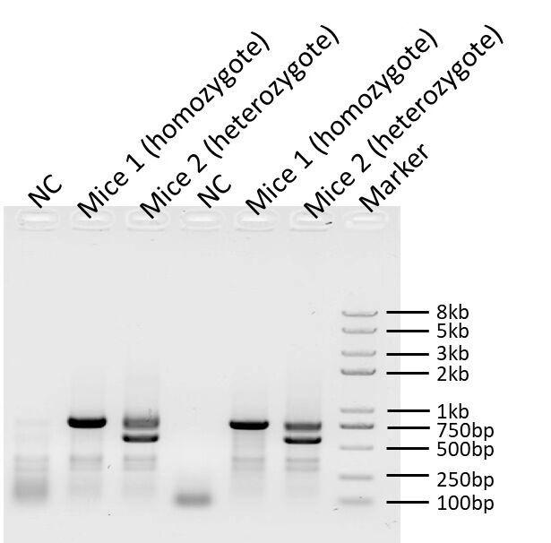 生物相关数据