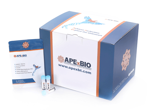 Taq DNA Polymerase