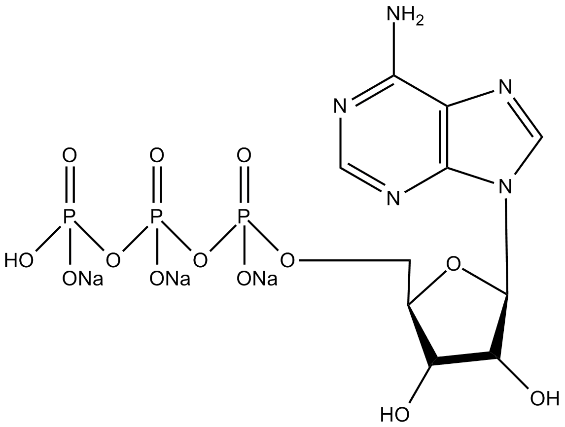 ATP Solution (100 mM)
