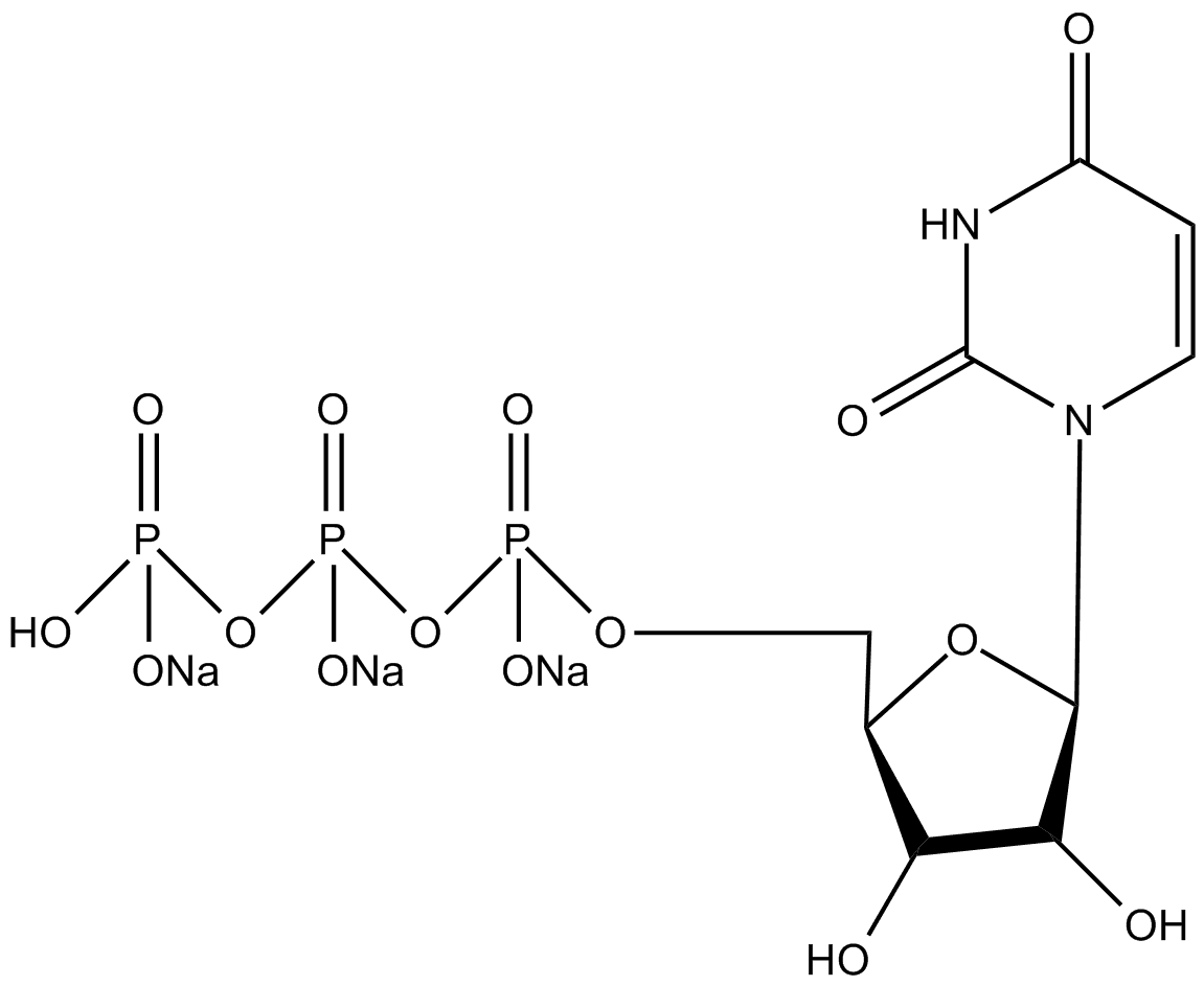 UTP Solution (100mM)