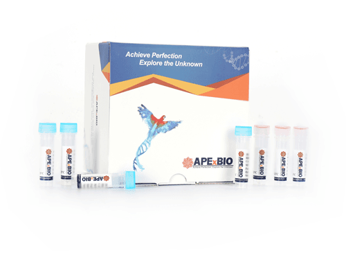 HyperScribe™ Poly (A) Tailing Kit
