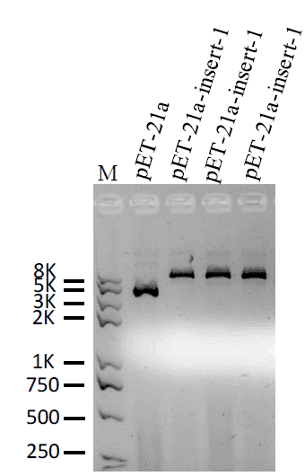 生物相关数据