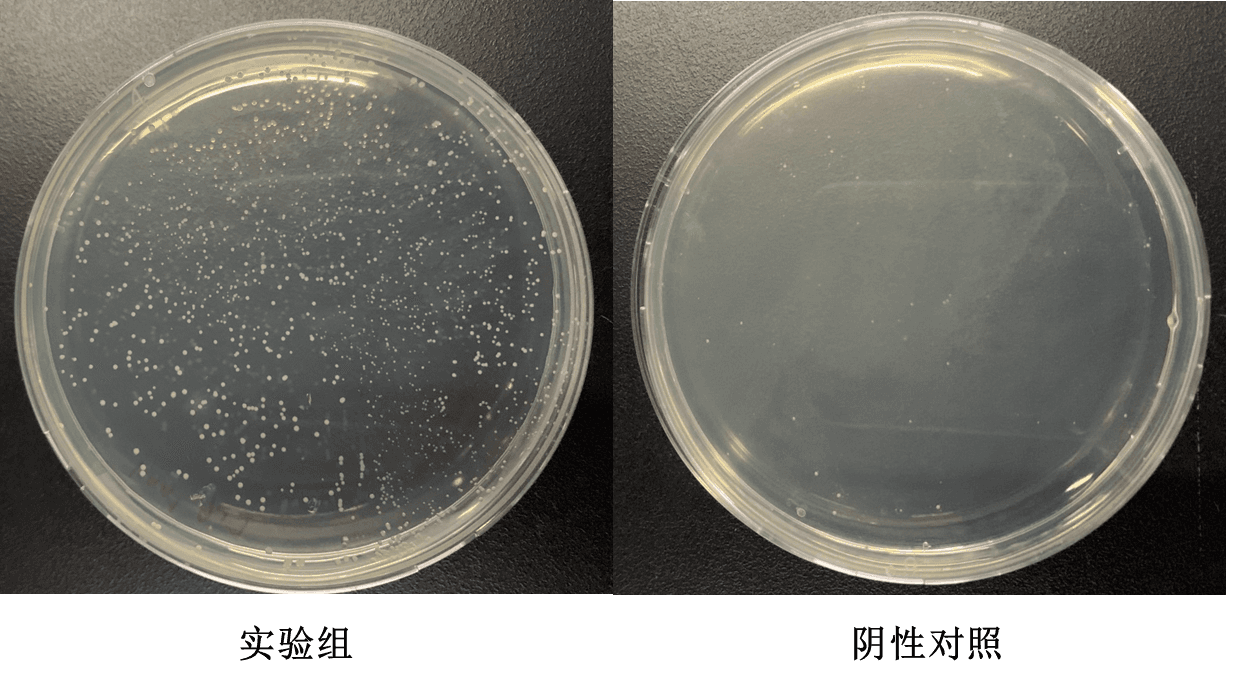 生物相关数据