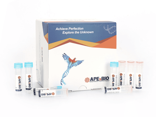 HyperScribe™ T7 High Yield Fluorescein RNA Labeling Kit