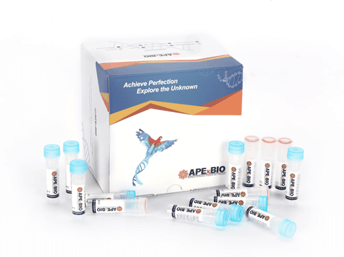 HyperScribe™ All in One mRNA Synthesis Kit (ARCA, T7, poly(A))