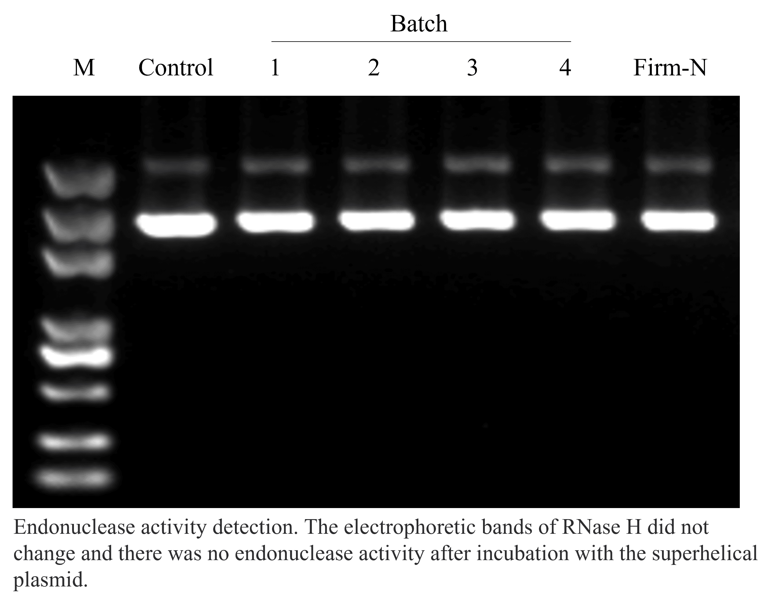 生物相关数据