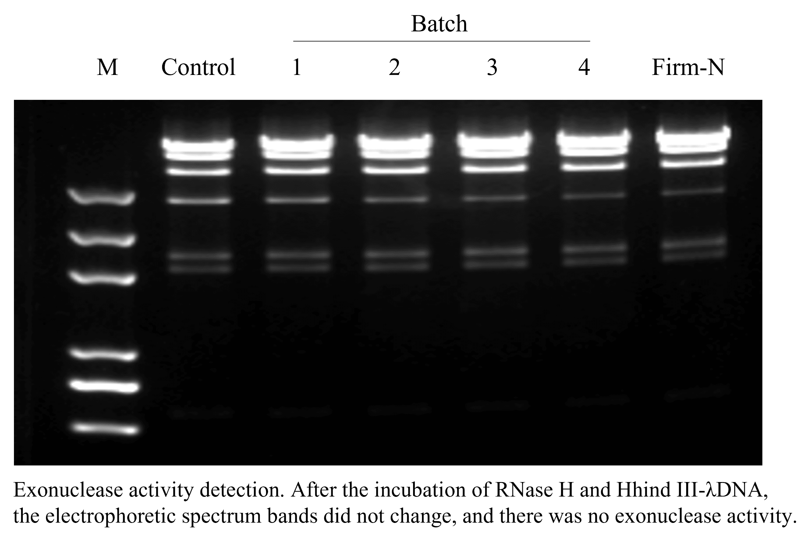 生物相关数据