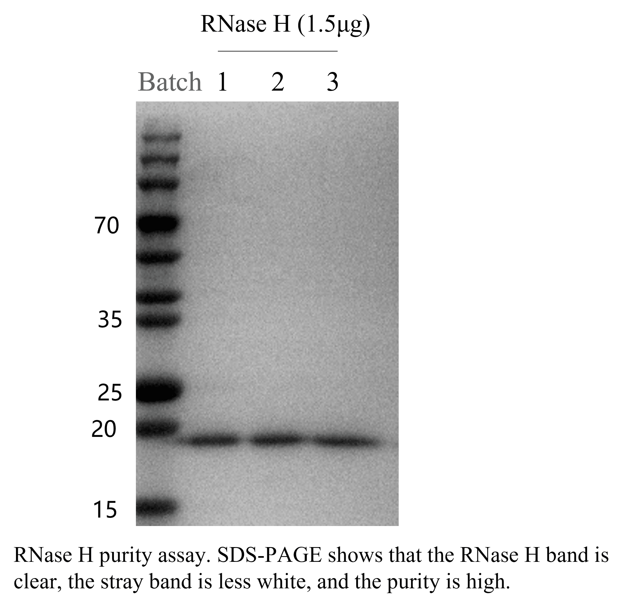 生物相关数据