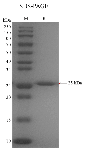 生物相关数据
