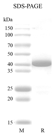 生物相关数据