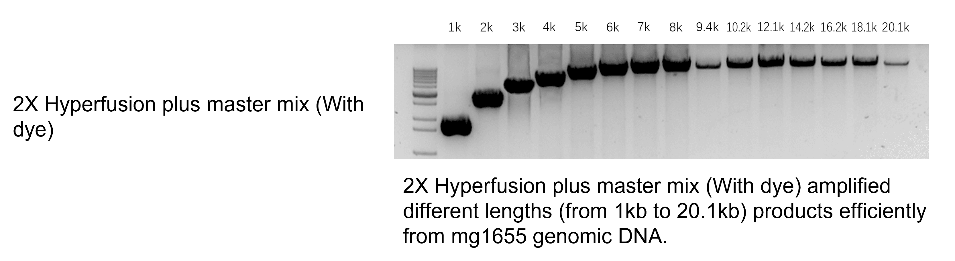 生物相关数据