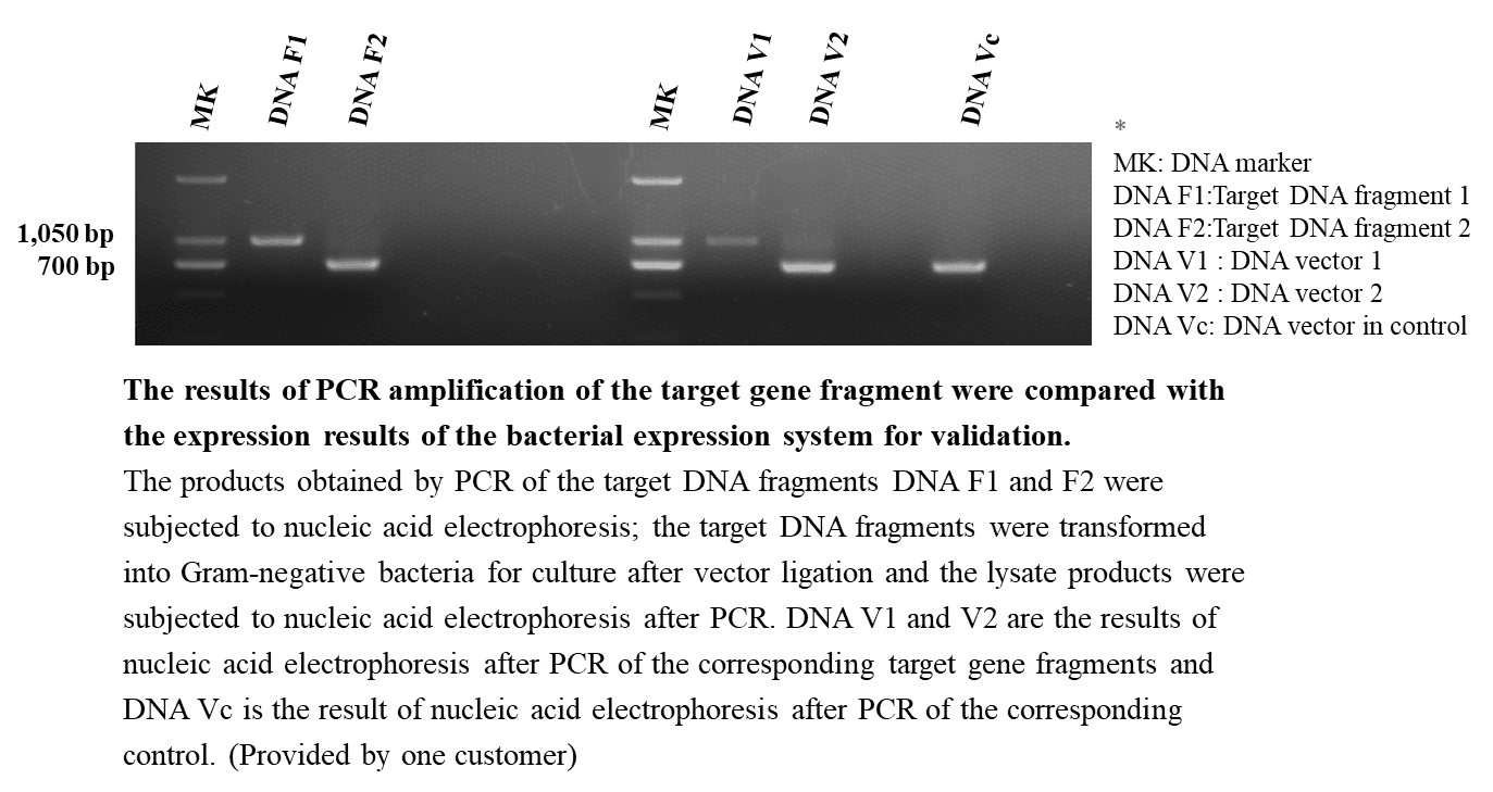生物相关数据