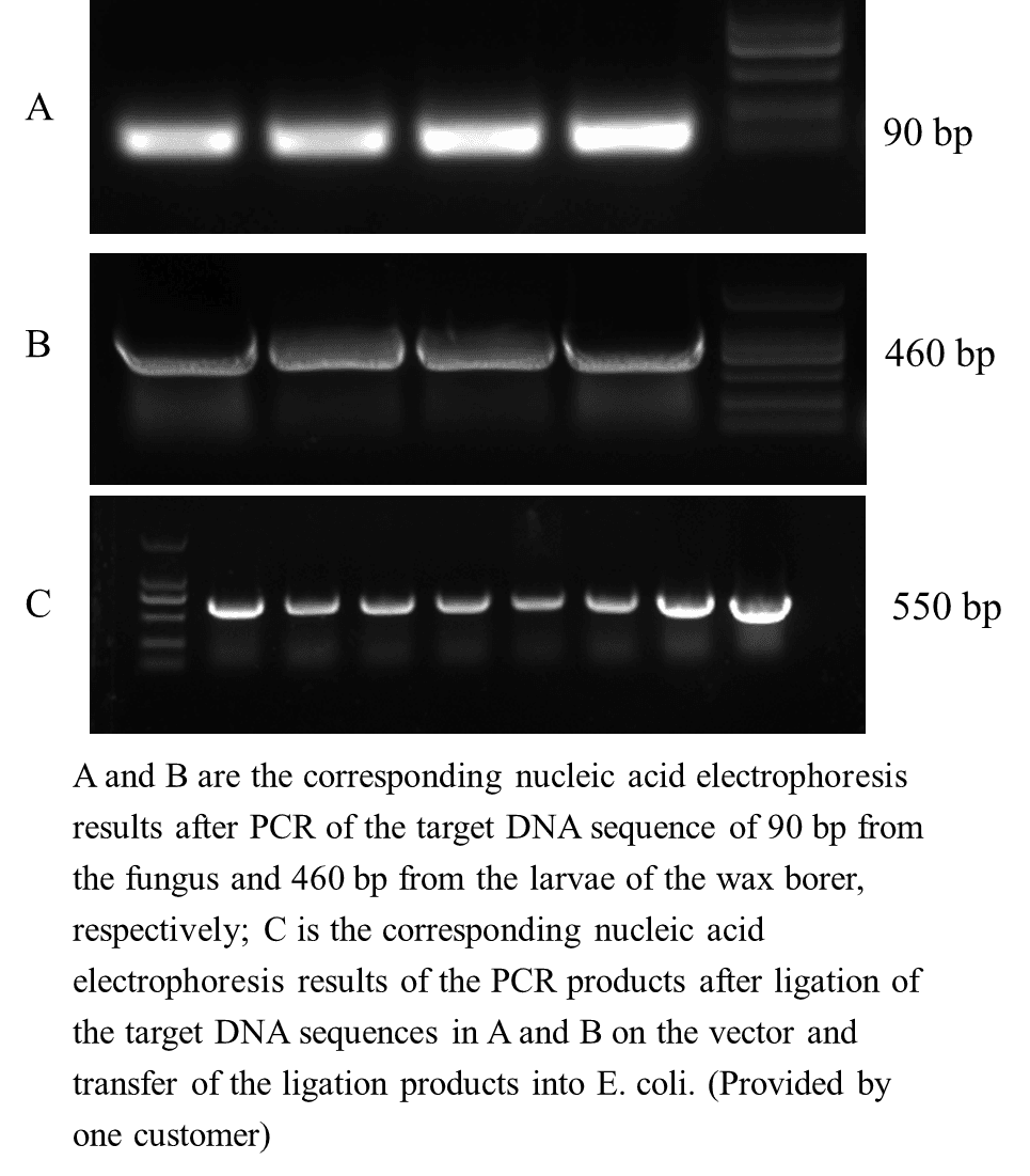 生物相关数据