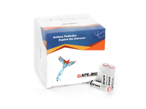 HyperScript™ RT SuperMix for qPCR (with gDNA wiper)