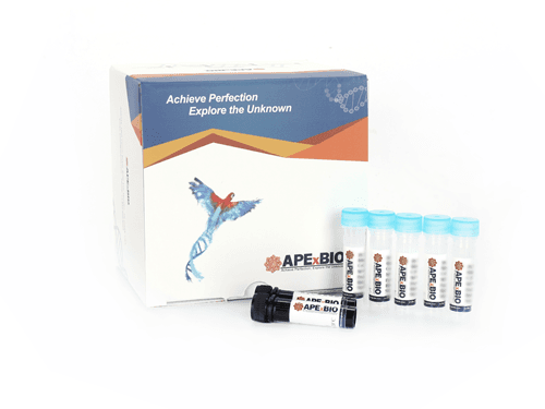 HyperLight™ dsDNA HS Assay Kit