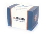 MagBeads Plasmid Maxi Preparation Kit