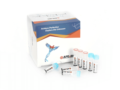 Tn5 DNA Library Prep Kit for Illumina (for 50 ng DNA)
