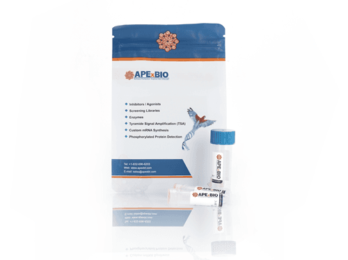 5' DNA Adenylation Kit
