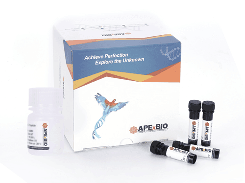 Mitochondrial Permeability Transition Pore Assay Kit