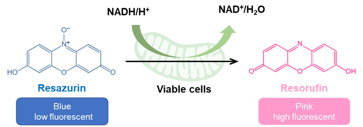 产品描述